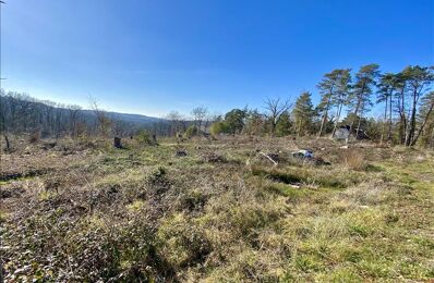 vente terrain 39 550 € à proximité de Saint-Pantaléon-de-Larche (19600)