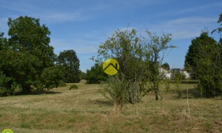 Photo N° 5