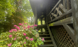 Photo N° 3