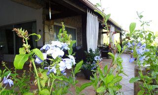 Photo N° 2