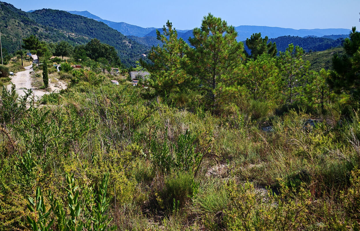 terrain  pièces 3980 m2 à vendre à Lucéram (06440)