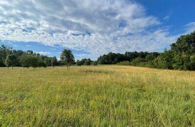 terrain  pièces 7392 m2 à vendre à Monbalen (47340)