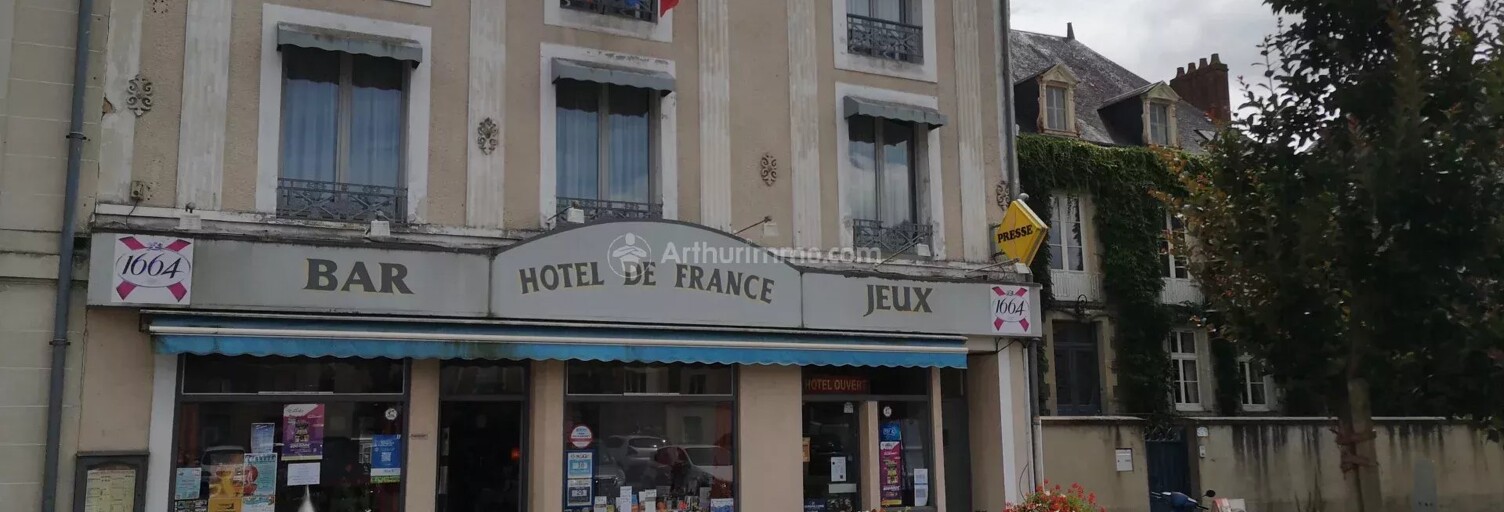 Commerce 13 Pièces 834 m² à vendre à Saint-Calais (72120)