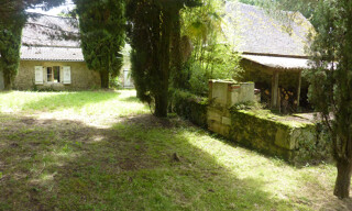 Photo N° 4