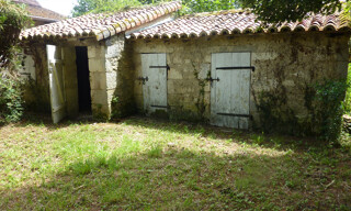 Photo N° 7