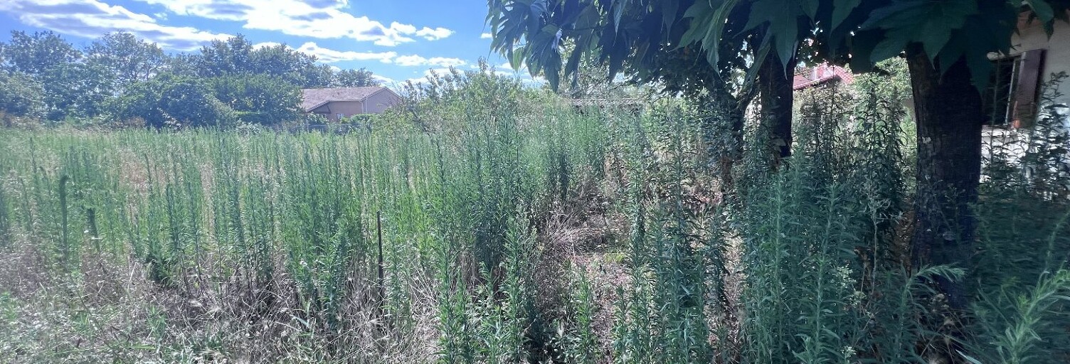 Terrain  579 m² à vendre à Cugnaux (31270)