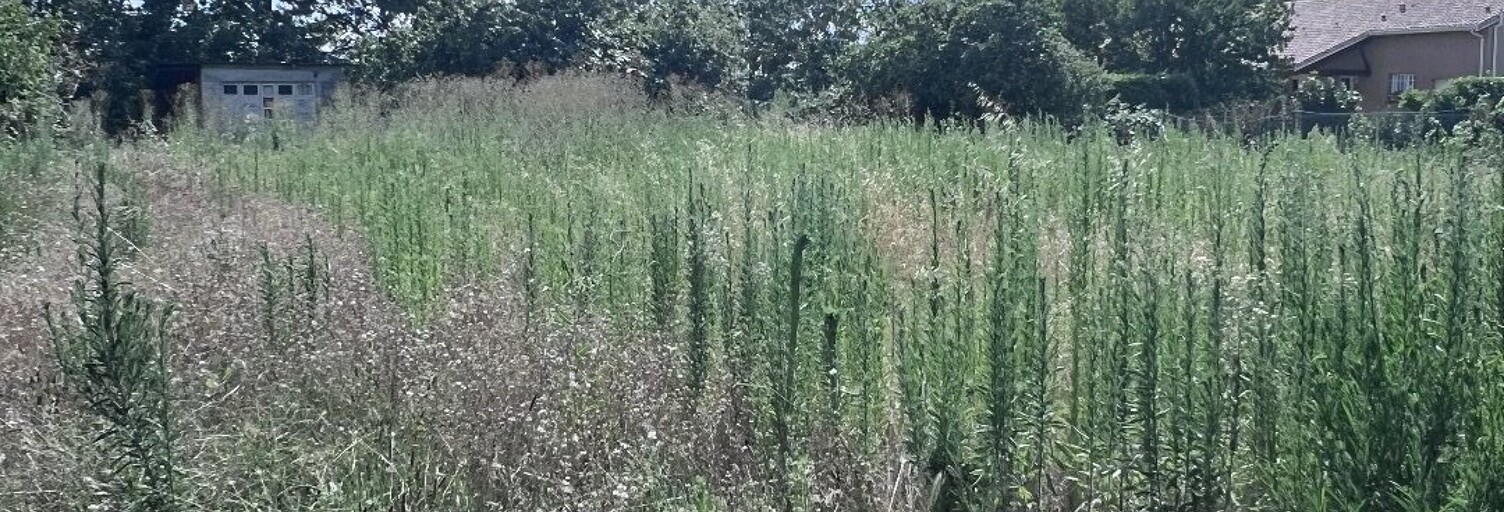 Terrain  577 m² à vendre à Cugnaux (31270)