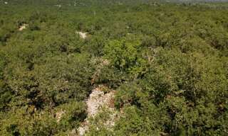 Terrain  10590 m² à vendre à Ruoms (07120)