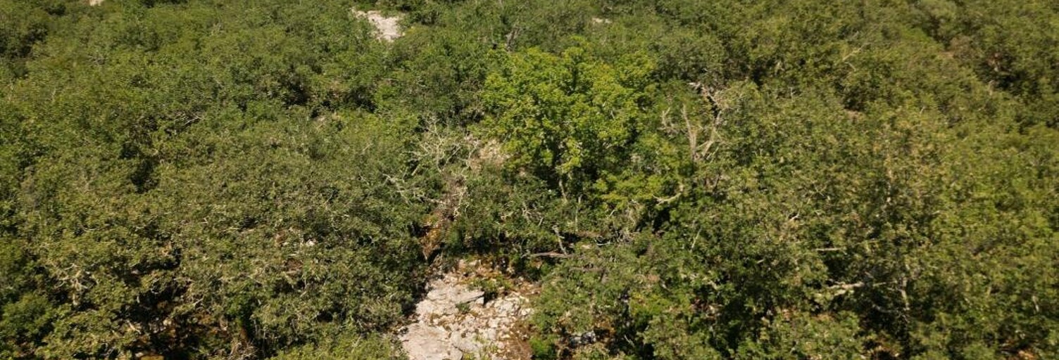 Terrain  10590 m² à vendre à Ruoms (07120)