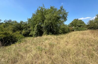 vente terrain 595 000 € à proximité de Valbonne (06560)