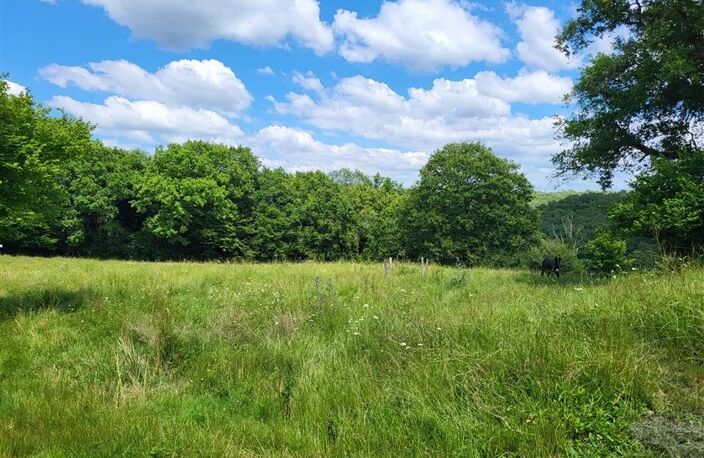 Maison avec terrain près de Bussière-Poitevine en Haute Vienne — photo 2
