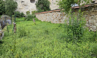 Photo N° 7