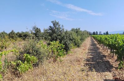 terrain  pièces 6160 m2 à vendre à Sainte-Cécile-les-Vignes (84290)