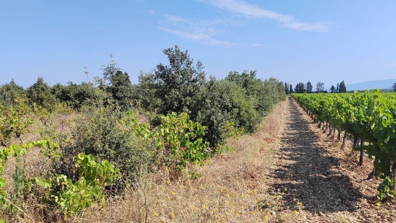 terrain  pièces 6160 m2 à vendre à Sainte-Cécile-les-Vignes (84290)