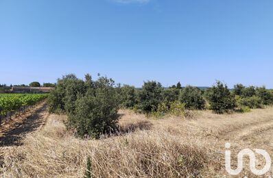 terrain  pièces 6160 m2 à vendre à Sainte-Cécile-les-Vignes (84290)