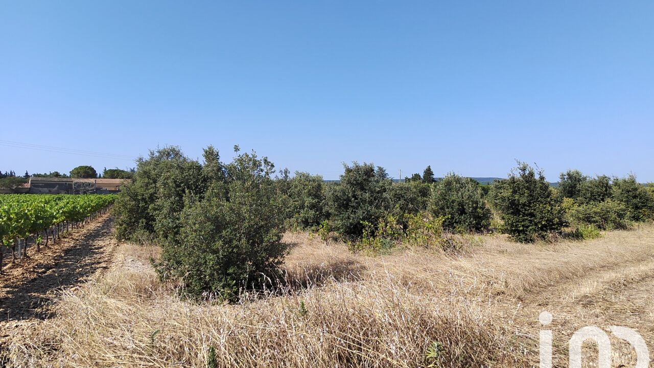 terrain  pièces 6160 m2 à vendre à Sainte-Cécile-les-Vignes (84290)