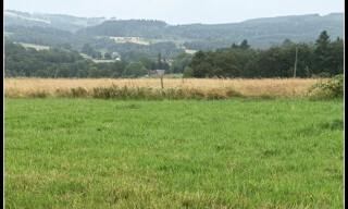 Photo N° 4