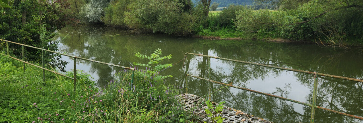 Terrain  600 m² à vendre à Maxey-sur-Meuse (88630)