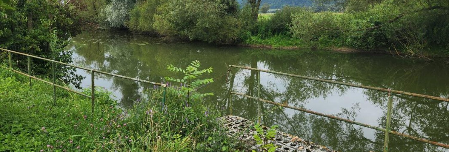 Terrain  600 m² à vendre à Maxey-sur-Meuse (88630)