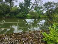 Terrain — photo 2