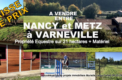 vente maison 843 000 € à proximité de Ennery (57365)