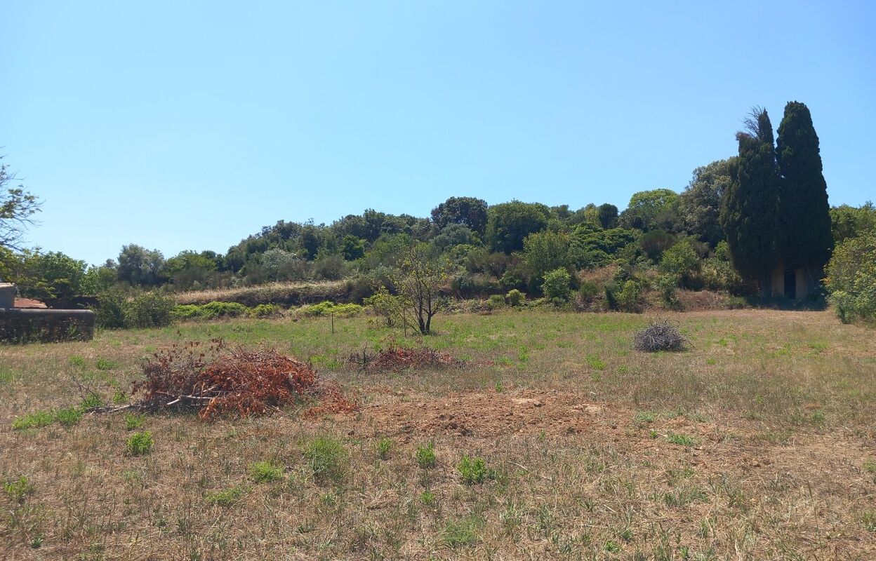 terrain  pièces 1895 m2 à vendre à Pézenas (34120)