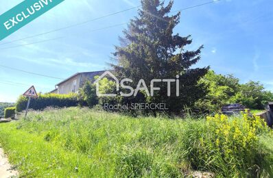 vente terrain 29 500 € à proximité de Vannecourt (57340)