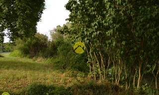 Photo N° 3