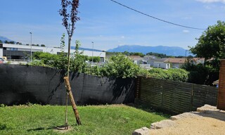 Photo N° 6