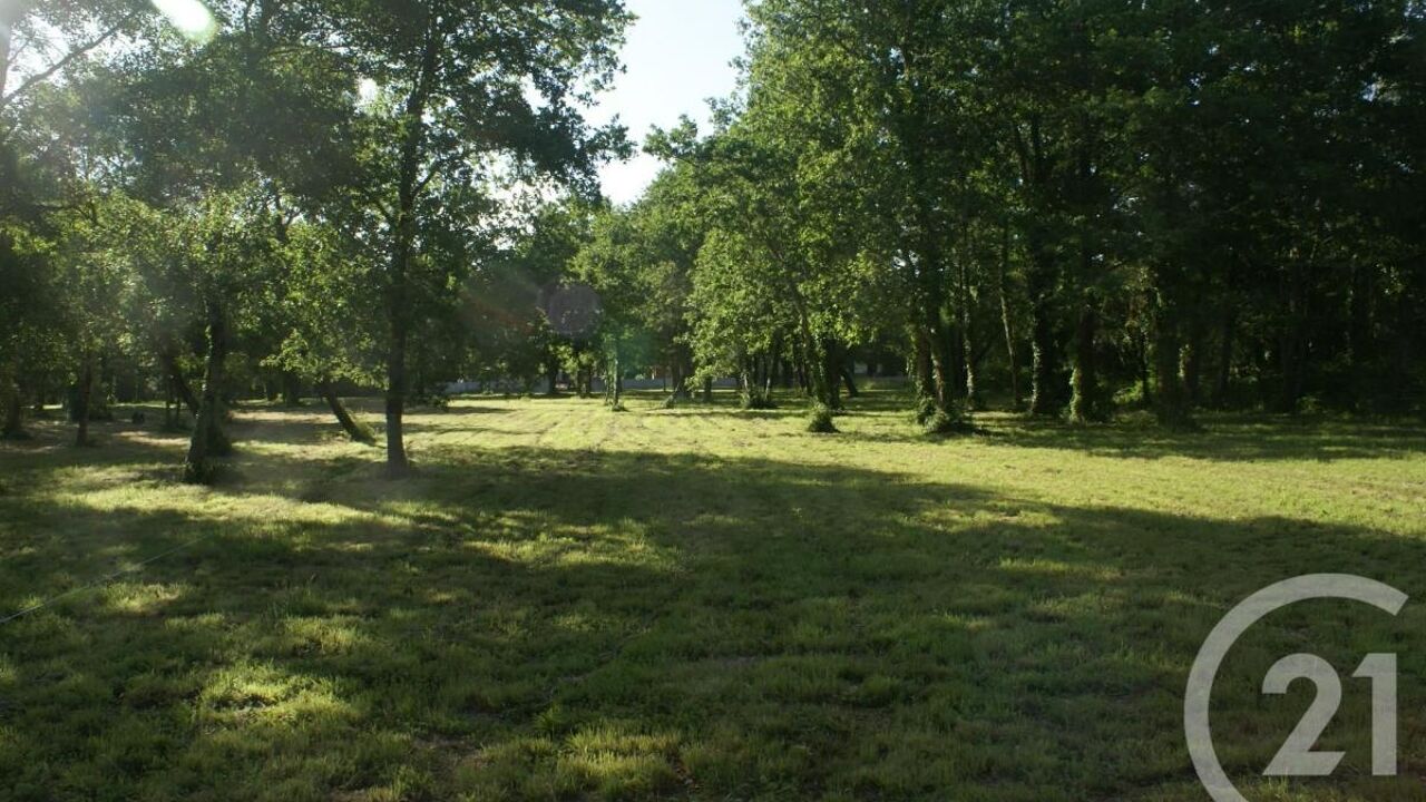 terrain  pièces 3960 m2 à vendre à Saint-Vivien-de-Médoc (33590)