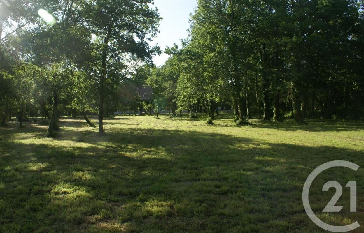 terrain  pièces 3960 m2 à vendre à Saint-Vivien-de-Médoc (33590)