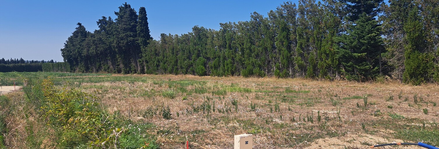 Terrain 814 m² à construire L'Isle-sur-la-Sorgue (84800)