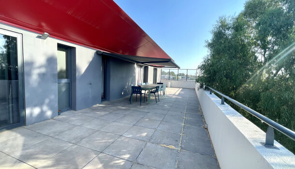 Bureau  à vendre Perpignan 66100