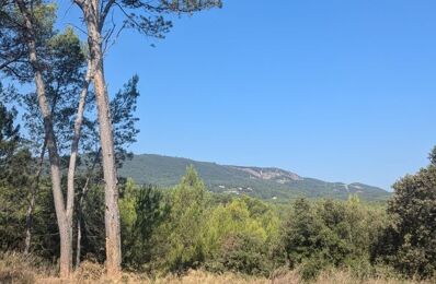 terrain  pièces 22990 m2 à vendre à Le Cannet-des-Maures (83340)