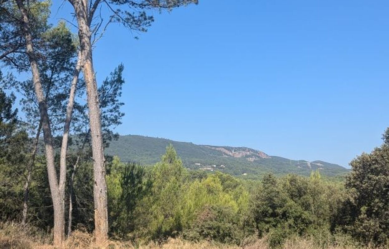 terrain  pièces 22990 m2 à vendre à Le Cannet-des-Maures (83340)