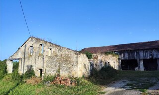 Photo N° 5