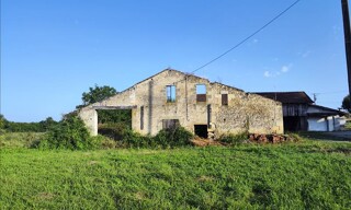 Photo N° 6