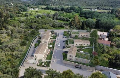 vente maison 780 000 € à proximité de Poggio-d'Oletta (20232)