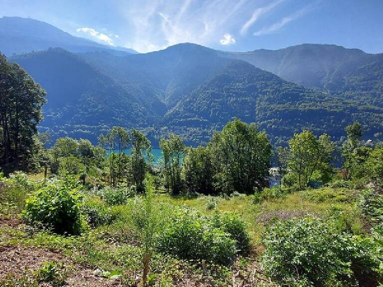 Terrain — photo 1