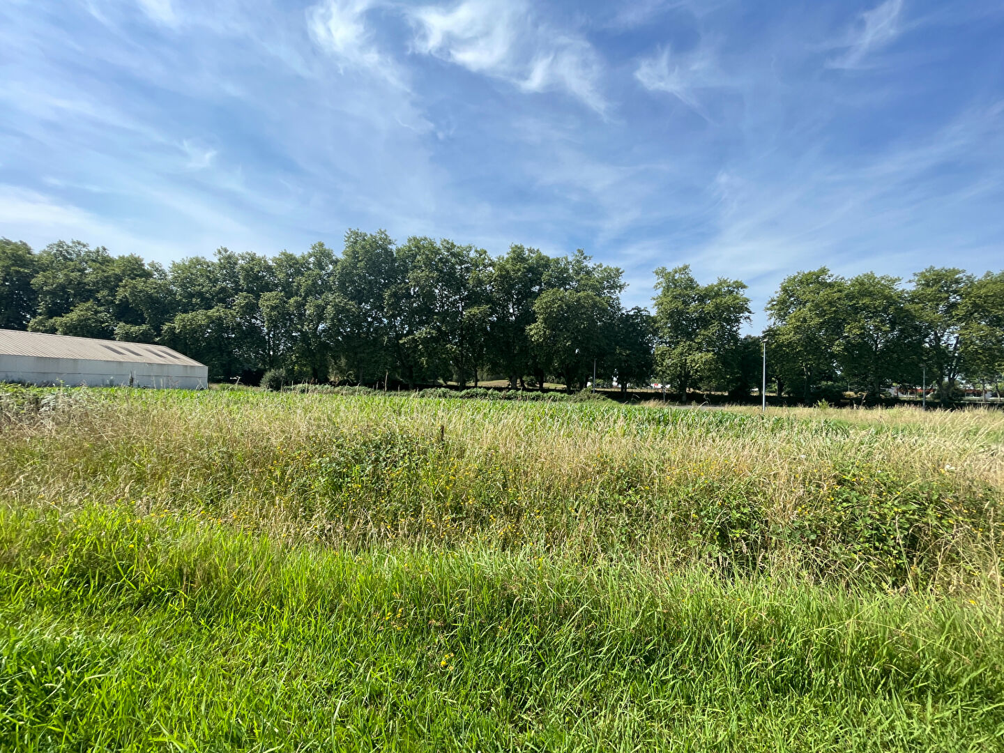 Terrain  à vendre Montardon 64121