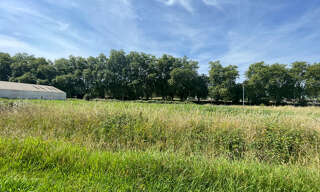 Terrain  4000 m² à vendre à Montardon (64121)