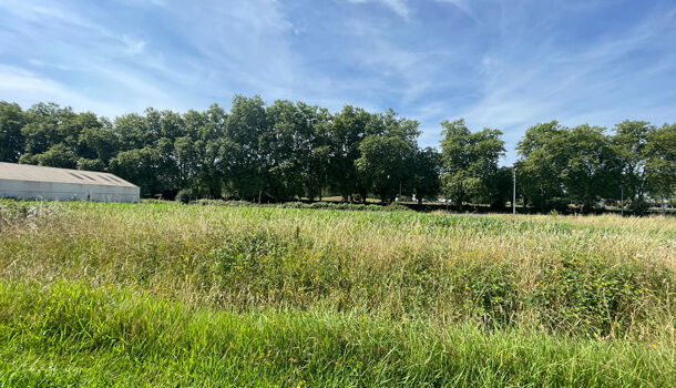 Terrain  à vendre Montardon 64121