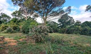 Terrain  600 m² à vendre à Rions (33410)