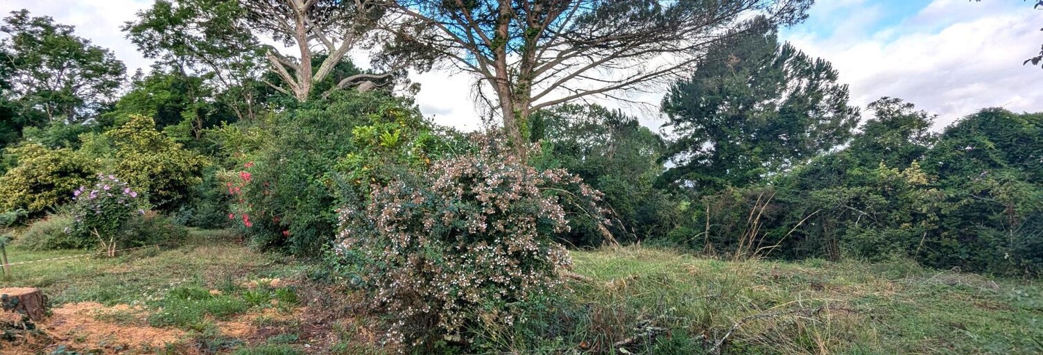 Terrain  600 m² à vendre à Rions (33410)