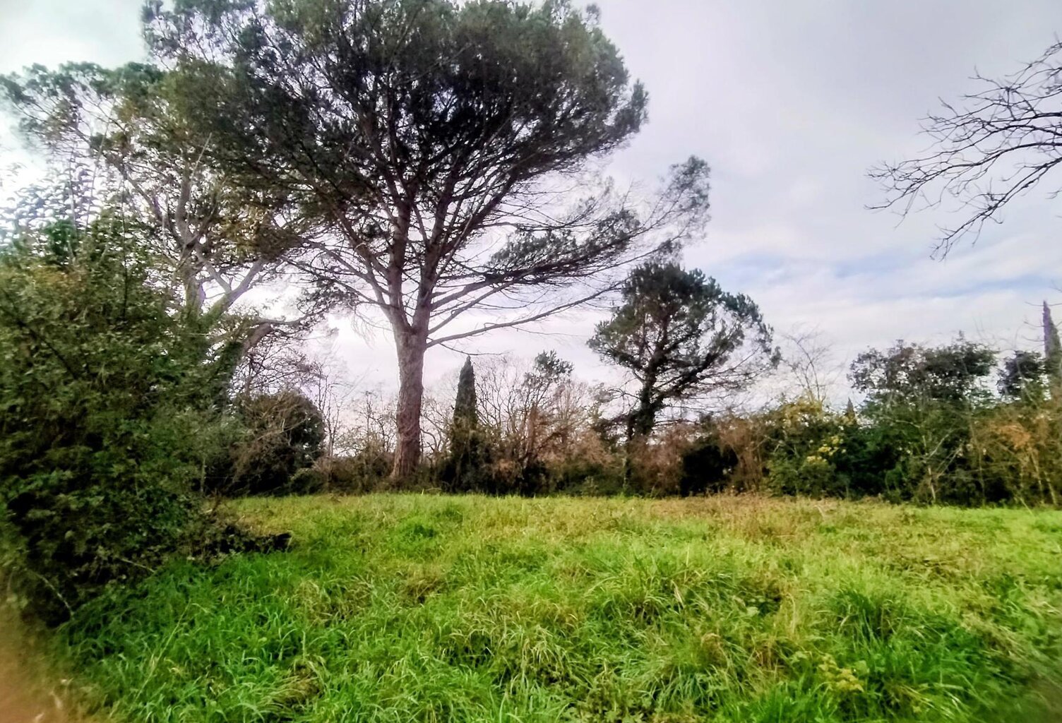 Vente terrain  600 m² Rions (33410) — photo 1