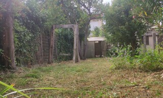 Photo N° 4