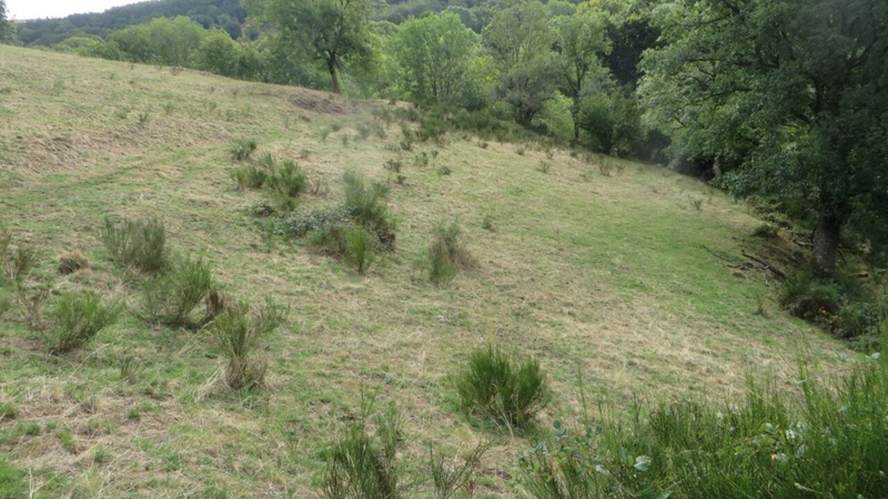 terrain  pièces 50000 m2 à vendre à Thiézac (15800)