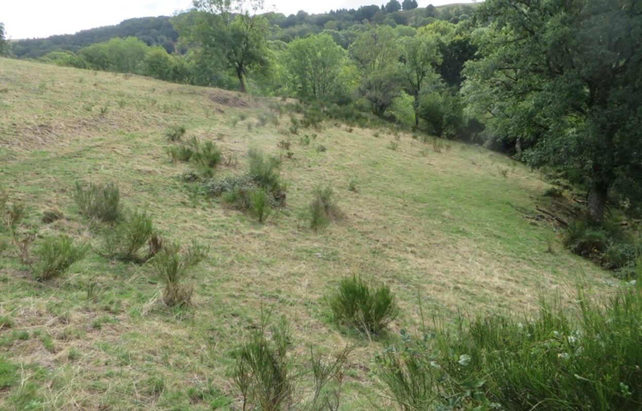 terrain  pièces 50000 m2 à vendre à Thiézac (15800)