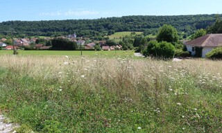 Photo N° 3