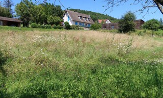 Photo N° 5